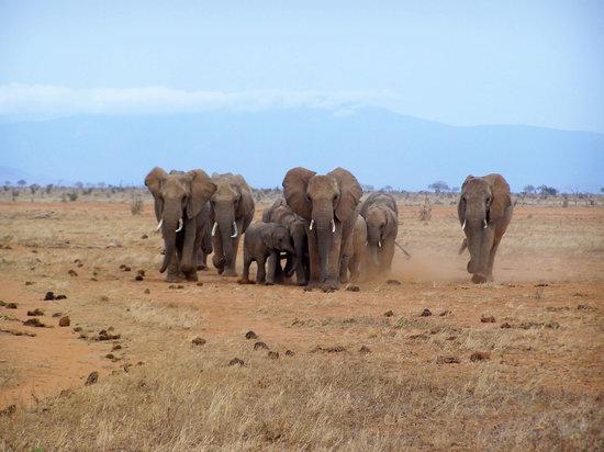 Ndohakashani Tours