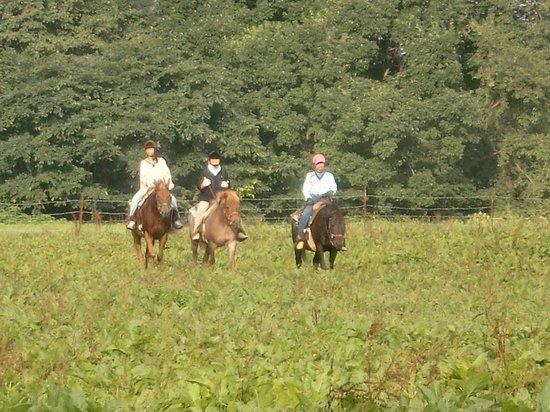 Charolai Ranch
