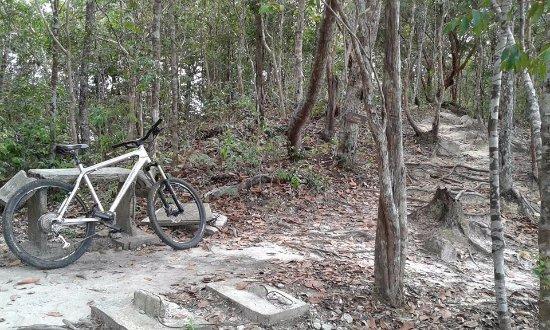 Ride Krabi