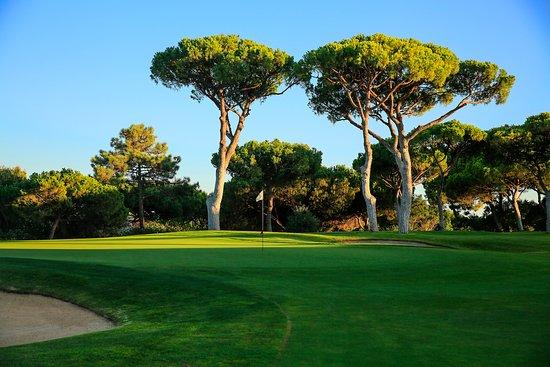 The Old Course Golf Club