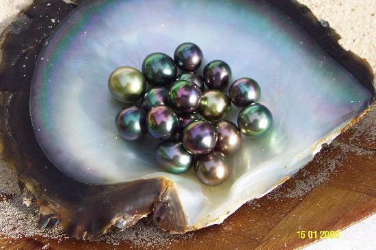 Gauguin's Pearl Farm