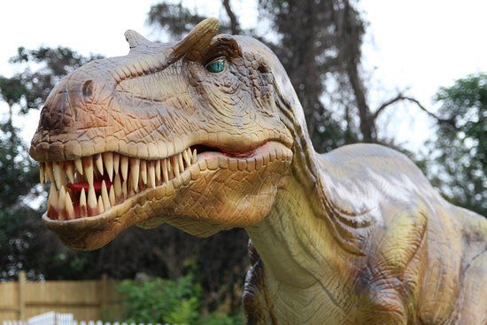 Dino Village