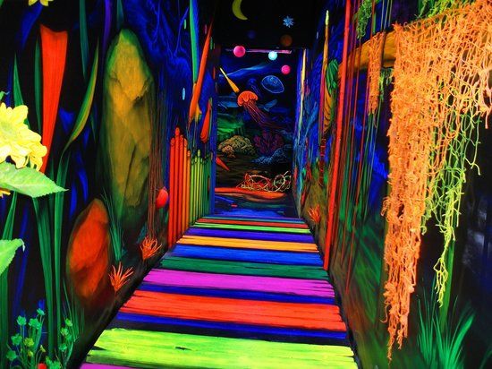 Museum 6D