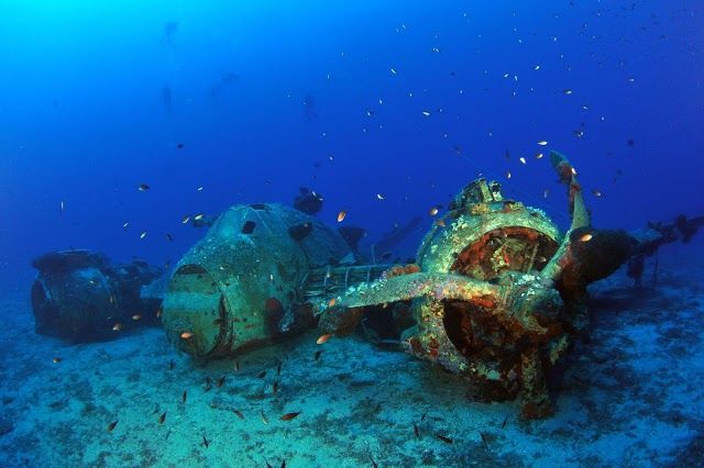 Bluefindivers Naxos Diving Center