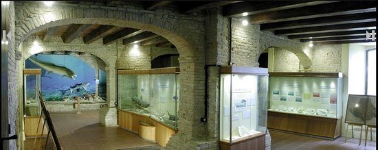 Musei di Mondaino