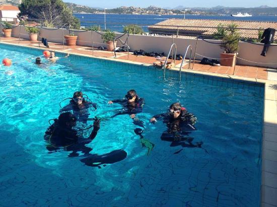 Area 11 Diver