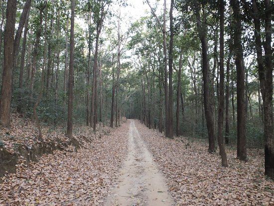 Durga Devi Zone