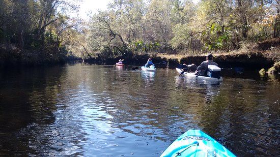 Steinhatchee Falls