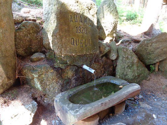 Spring of Dr. Adam
