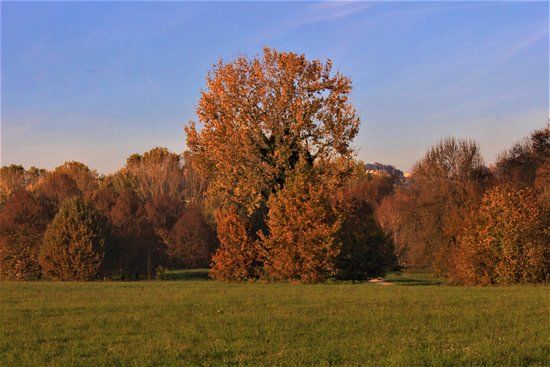 Riserva Naturale Le Vallere