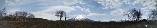 Futago no Sakurambo Tree