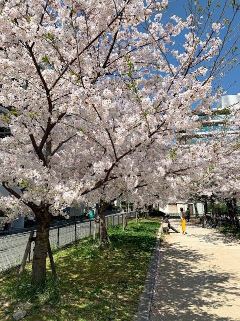 Nakahie Park