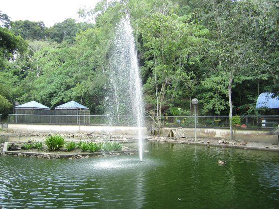Parc des oiseaux de Labuan