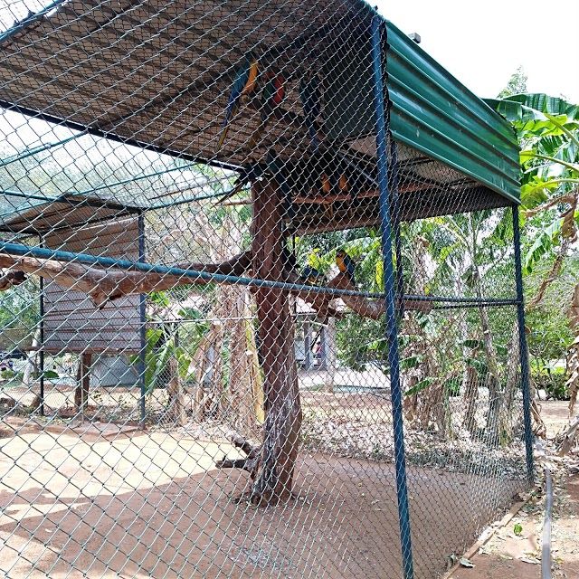 Birds Park