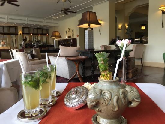 Elephant Bar
