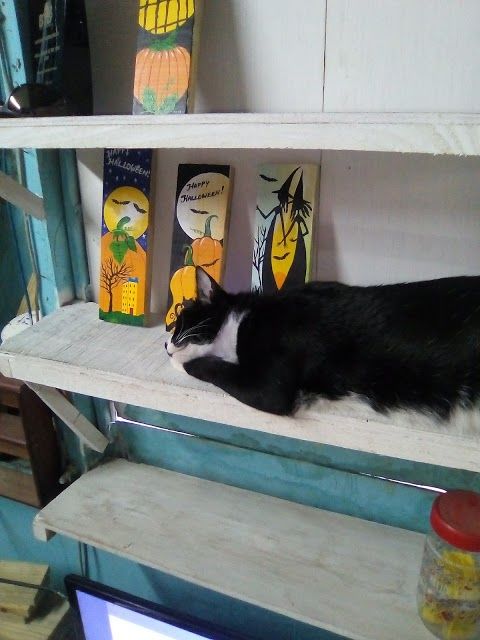 Lola Art Studio