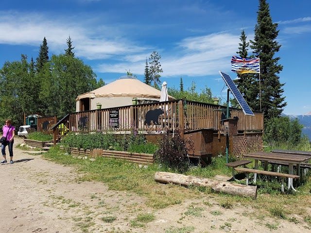 Grizzly Bear Refuge