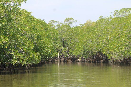 Pottuvil Lagoon