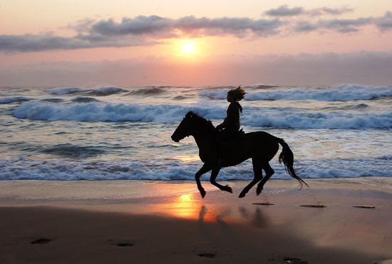 Selsdon Park Estate Beach Horse Rides
