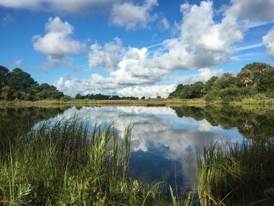 Dewees Island