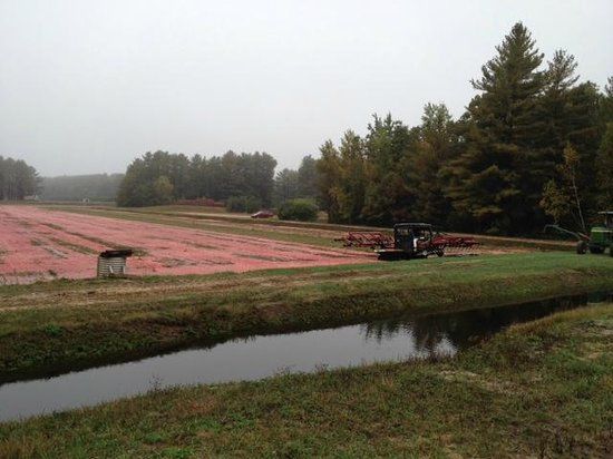 Cranberry Discovery Center