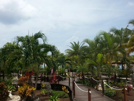 Puerta Maya
