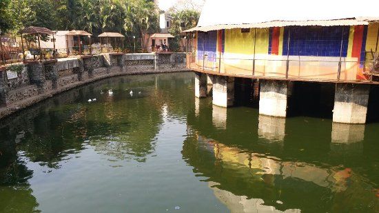 Dolphin Aquarium