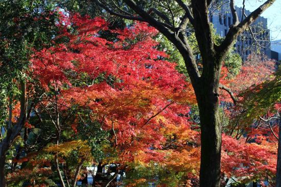 Parc d'Hibiya