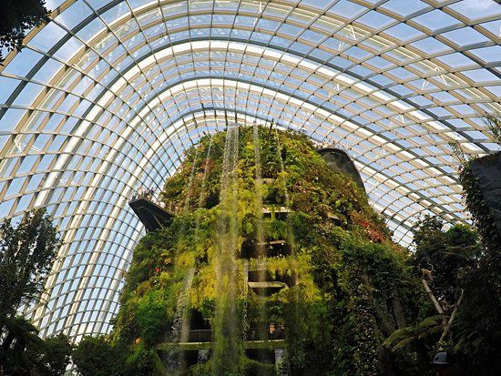 Parco Cloud Forest