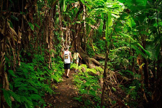 Khao Phra Thaeo National Park
