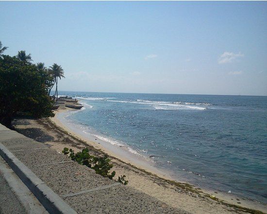 La Aleta