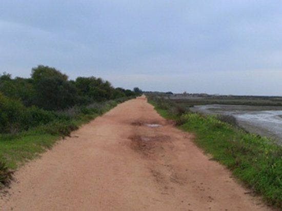 Trilhos do Algarve