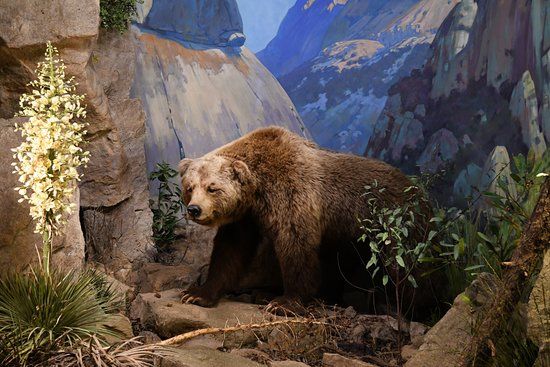 Santa Barbara Museum of Natural History