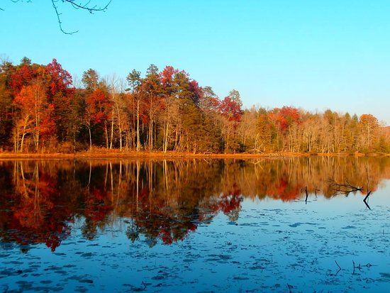 Bays Mountain Park and Planetarium
