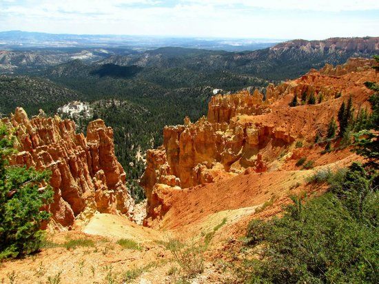 Ponderosa Canyon