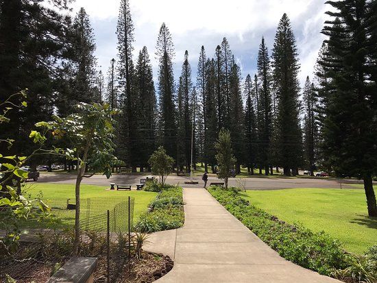 Lanai Culture & Heritage Center