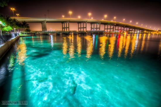 Blue Heron Bridge Scuba