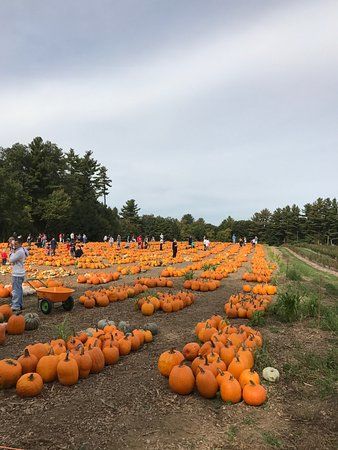 Parlee Farms