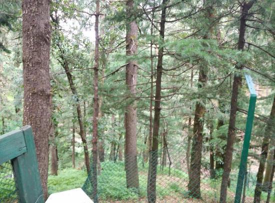 Indira Tourist Park