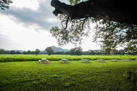 Farm Chokchai