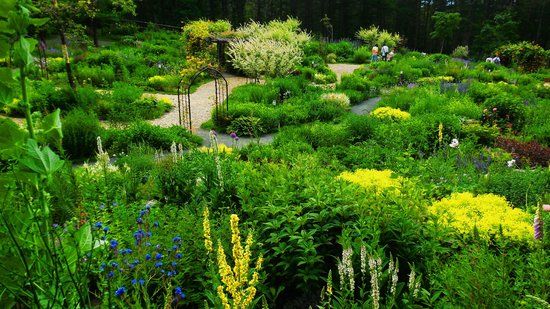 Garden of Wind