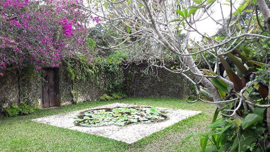 Brief Garden