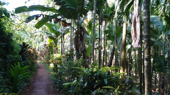 Sahakari Spice Farm