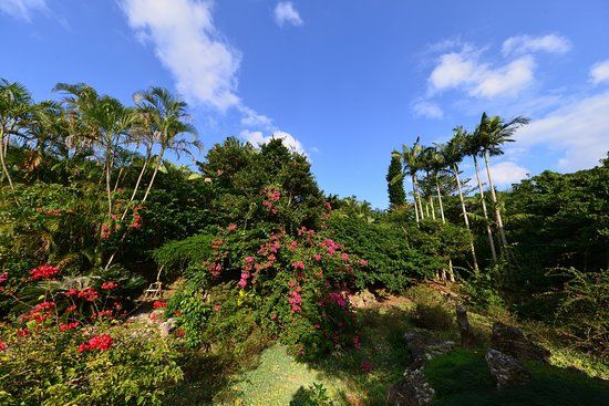 Yonnu Paradise