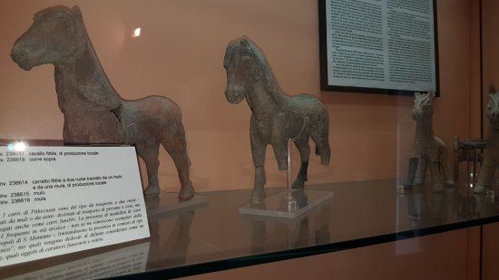 Archäologisches Museum von Pithecusae