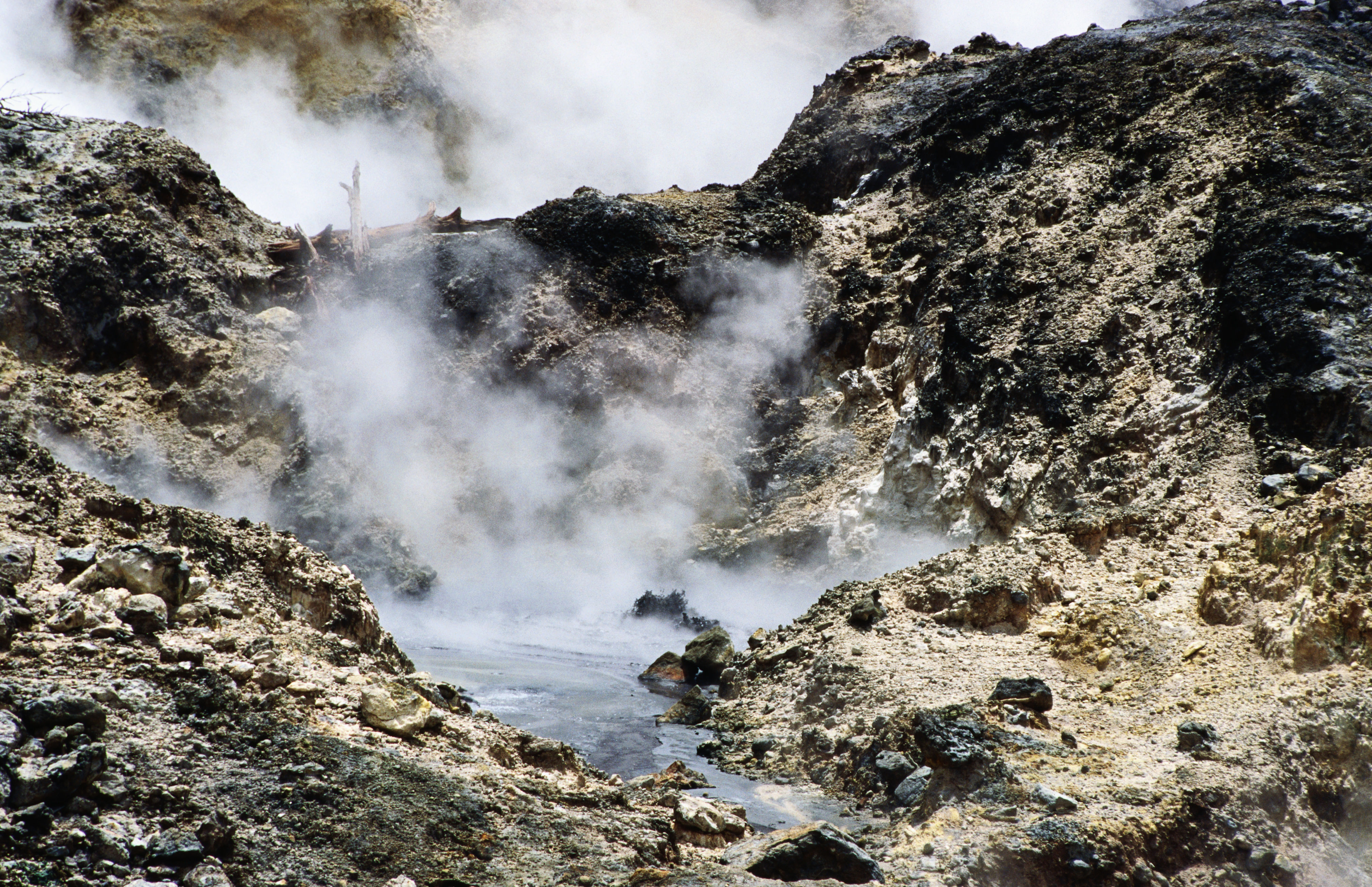 Sulphur Springs