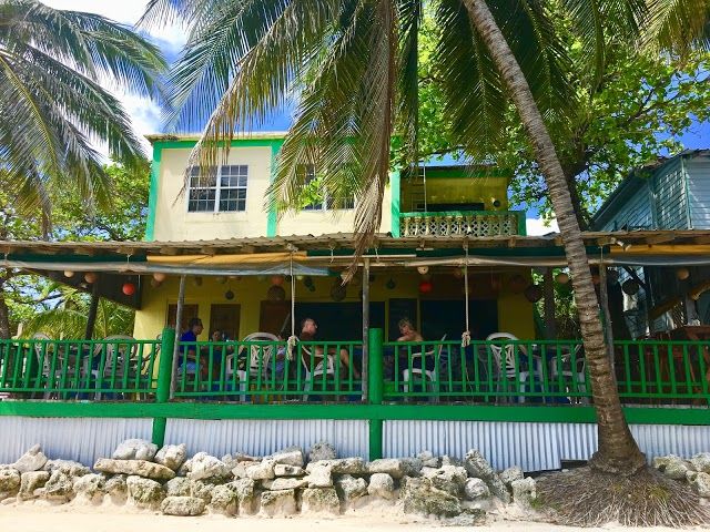 Wild Mango's