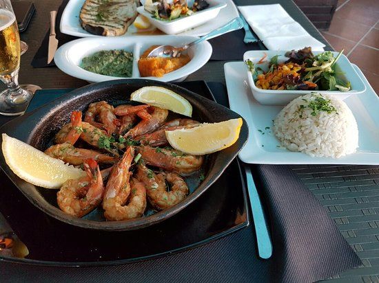 The Dolphin Restaurante