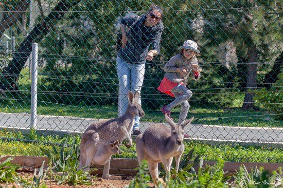 Zoo de Paphos