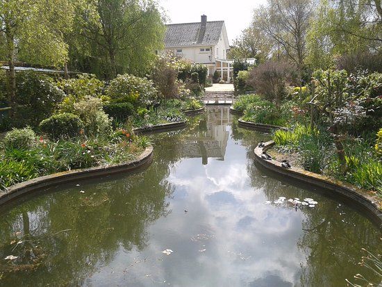 Reg's Garden